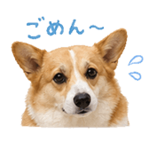 838819386