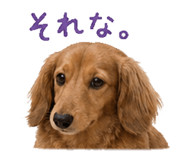 838819388