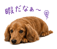 838819394