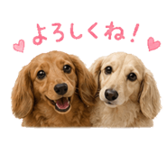 838819400