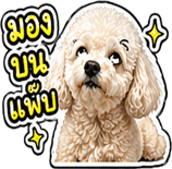 838819434