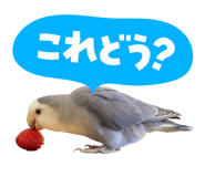 838819539