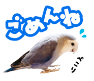 838819546
