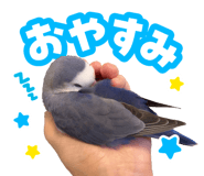 838819550