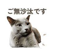 838819746