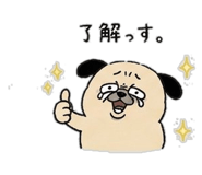 838820066