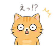 838820257
