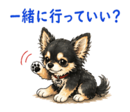 838820562