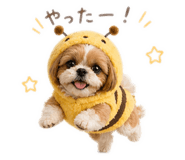 838821032
