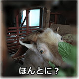 838821346