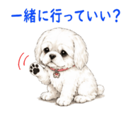 838821626