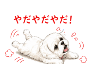 838821630