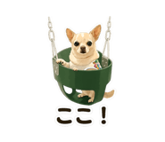 838822092