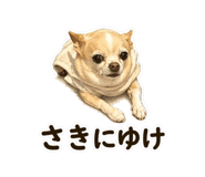 838822093