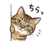 838822104