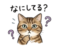 838822114