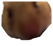 838823101