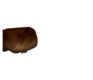 838823104