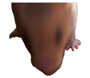 838823106