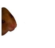 838823111
