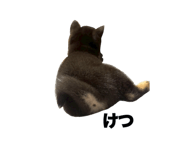 838823266