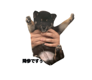 838823268