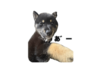 838823272