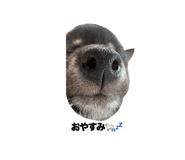 838823274