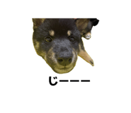 838823278