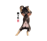838823279