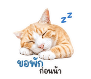 838823486