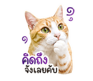 838823492