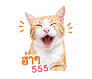 838823494