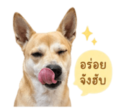 838824556