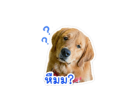 838824828