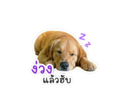 838824833