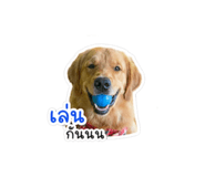 838824835