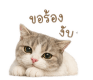 838825405