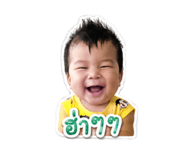 838826116