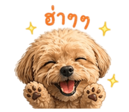 838826142