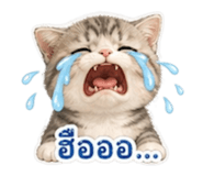 838826743