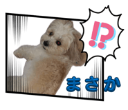 838827777