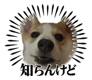 838827845