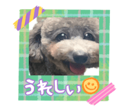838828427