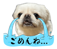 838829862