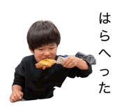 838830038