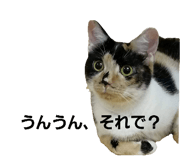 838830242