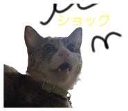 838830251