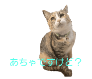 838830275