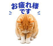 838830294